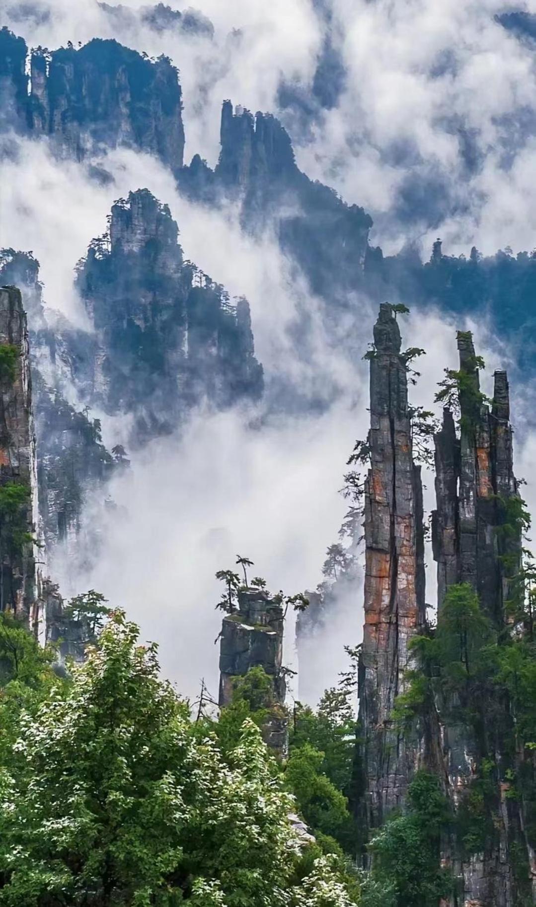 Zhangjiajie Jijiehao Inn Dış mekan fotoğraf