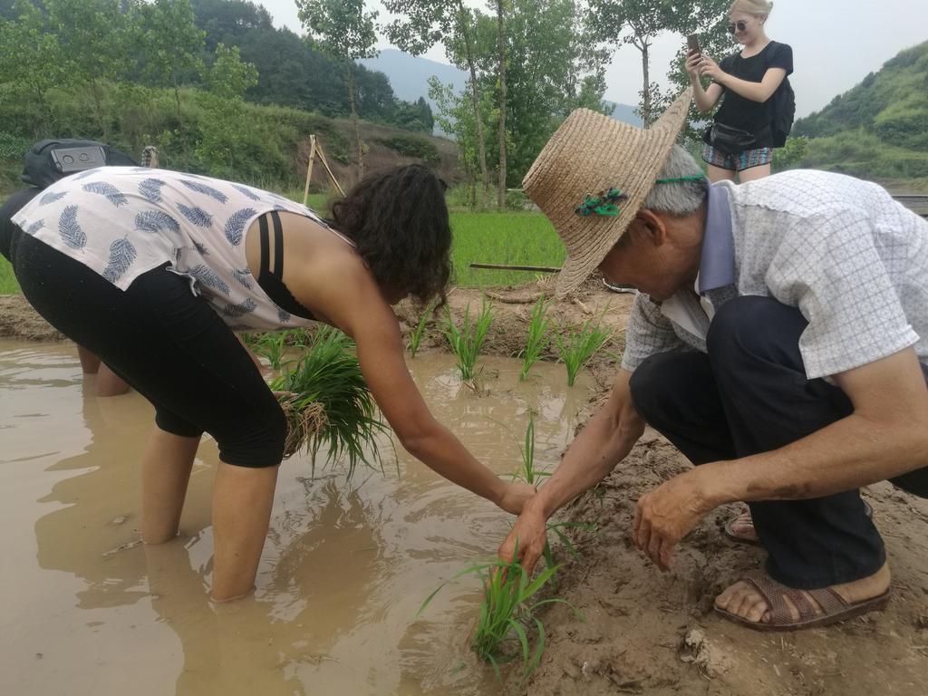 Zhangjiajie Jijiehao Inn Dış mekan fotoğraf